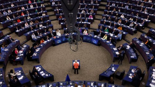 EU-Parlament stimmt für umstrittenes Naturschutzgesetz 