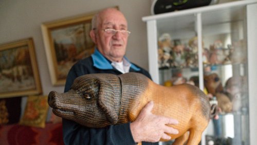 Kölner Rentner löst Sammlung auf: Wohin mit 5000 Deko-Schweinen?