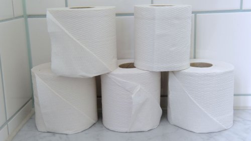 Vandalismus an Gesamtschule in Sachsen-Anhalt: Schüler sollen Toilettenpapier selbst mitbringen