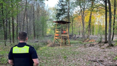 Hilflos im Schaumburger Wald: Frau lässt Internetbekanntschaft gefesselt im Wald zurück