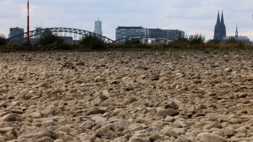 Klima-Monitoringbericht der Bundesregierung: Folgen der Erderwärmung verschärfen sich auch in Deutschland
