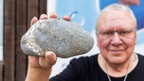 Erhalten in Feuerstein: Hobbyforscher findet 66 Millionen Jahre alten Seestern