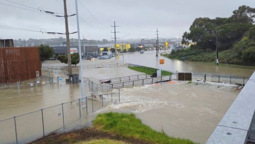 »Es ist eine ernste Situation«: Erneut Starkregen in Neuseeland – Notstand ausgerufen