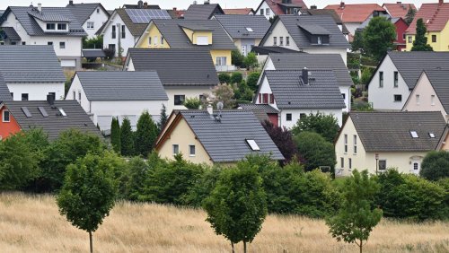 Behördendeutsch: Bin ich zu dumm, um dieses Formular auszufüllen?