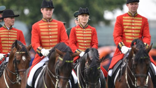 Genetische Untersuchungen: Wolfsrüde GW950m riss Pony von EU-Kommissionspräsidentin von der Leyen