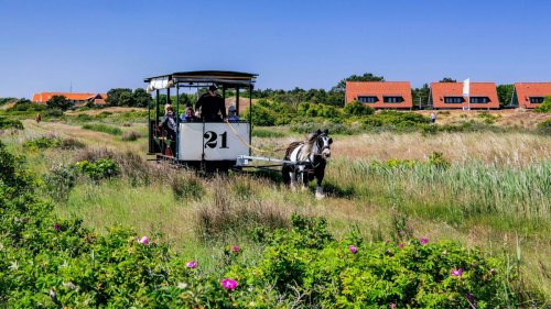 Spiekeroogs historische Pferdebahn bekommt eine längere Trasse 