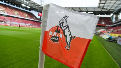 Fußball-Bundesliga: 1. FC Köln droht einjährige Transfersperre
