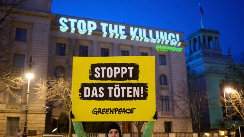 Jahrestag des Angriffskriegs: Greenpeace projiziert Schriftzüge an Fassade der russischen Botschaft