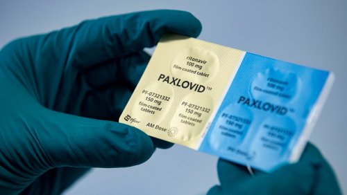 Corona-Medikament: Hunderttausenden Packungen Paxlovid droht Vernichtung
