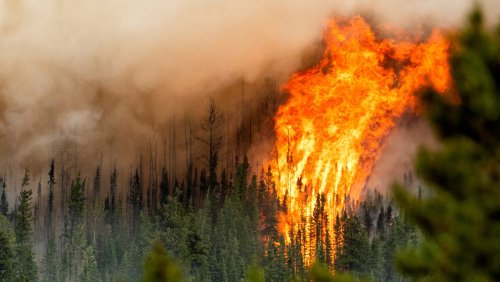 Erhöhte Sterblichkeit durch Luftverschmutzung: Gesundheitsrisiko durch Waldbrände steigt