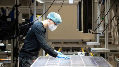 Preissturz bei Modulen: Habeck will Solarindustrie stützen