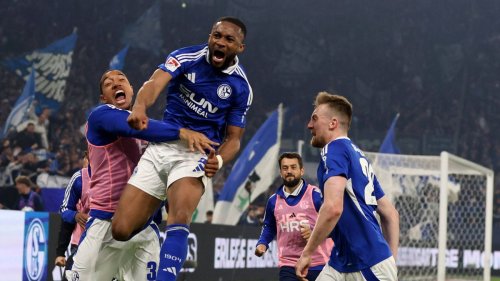 Zehn Schalker ärgern den Hamburger SV 