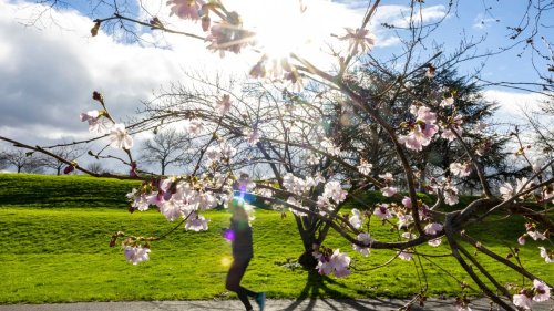 Sonne satt zum offiziellen Frühlingsbeginn 