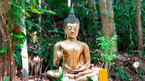 Zehn Tage im Kloster Suan Mokkh in Thailand: Der Schweigemarathon