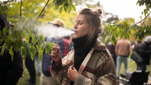 Strafrechtler zur Legalisierung von Cannabis: »Ich halte das für hochgradig riskant«