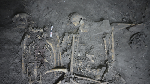In prähistorischer Stadt in Mexiko: Forscher finden 1700 Jahre altes Skelett eines Klammeraffen