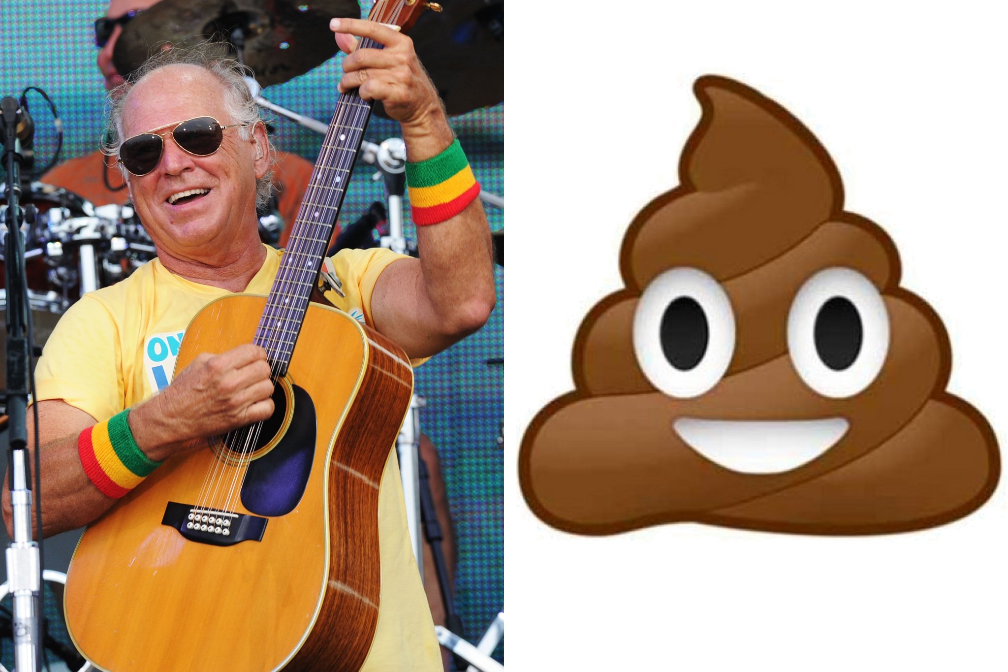 Jimmy Buffett Fans Get Crap From Police for Leaving Homemade Toilets at Concert - SPIN