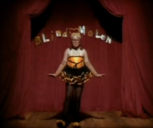 Here's what happened to Blind Melon's bee girl and more music video kids