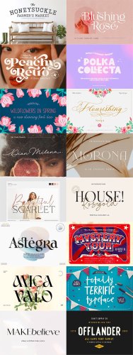 Download This Spectacular Fonts Library for Just $29