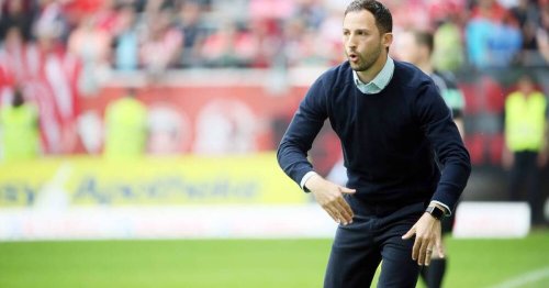 2. Bundesliga: Als der FC Schalke 04 Erzgebirge Aue Erfolgstrainer Domenico Tedesco stahl