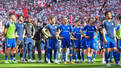 Transfers, Etat, neuer Sportchef, Fans: So plant Schalke die Mission Wiederaufstieg