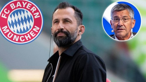 Bayern-Präsident Hainer verteidigt Sportvorstand Salihamidzic: "Hasan macht einen sehr guten Job"