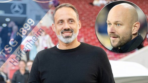 Hoffenheim erklärt Trainer-Wahl: Darum setzt die TSG auf Matarazzo