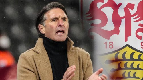 Berichte: Labbadia wird Trainer des VfB - Rückkehr nach gut neun Jahren