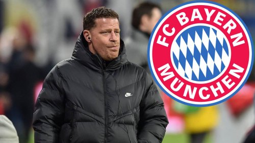 Bericht: Bundesliga-Boss ist Kandidat für Salihamidzic-Nachfolge