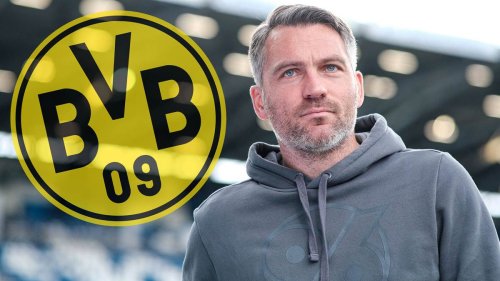 BVB findet Preußer-Nachfolger – Ex-Hannover-Coach übernimmt