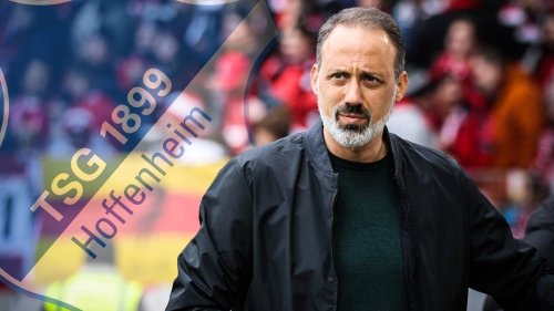 Bericht: Trainer Matarazzo droht Blitz-Aus bei der TSG Hoffenheim