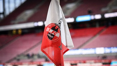 Transfer-Sperre offiziell: So regiert der 1. FC Köln auf das FIFA-Urteil
