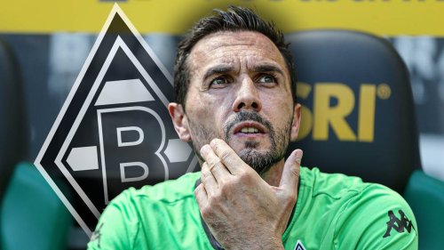 Bericht: Mönchengladbach will Ex-Kapitän Stranzl ins Präsidium holen