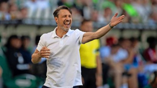 Wolfsburg-Trainer Niko Kovac rechnet schonungslos mit Handspiel-Regel ab