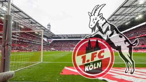 Bericht: FIFA verhängt Transfer-Sperre gegen den 1. FC Köln