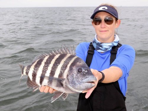 Fishing Tips for Big Sheepshead