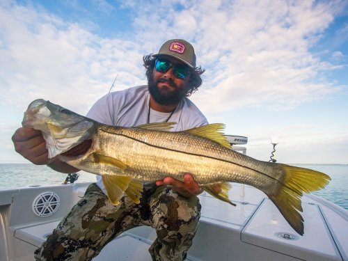 New Florida Snook Zones in Effect