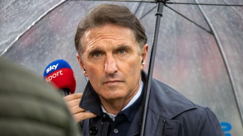 Bundesliga: Die VfB-Analyse: Welches Argument Labbadia noch hat