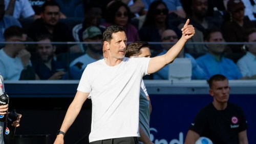 Eintracht-Trainer bleibt: Frankfurt-Coach Toppmöller verlängert Vertrag bis 2028