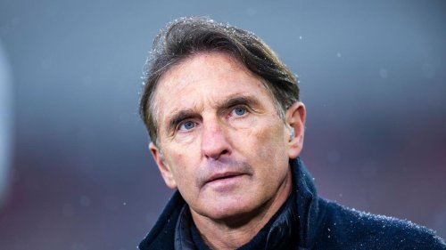 Bundesliga: VfB-Coach Labbadia über VAR: "Emotionen im Fußball lassen"