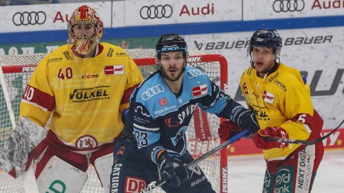 DEL-Playoffs: Ingolstadt erreicht Halbfinale, Mannheim siegt spektakulär