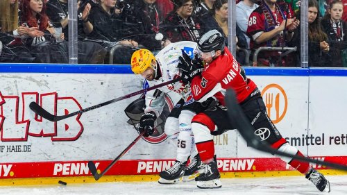 Eishockey in der DEL: Kölner Haie vergeben ersten Halbfinal-Matchball