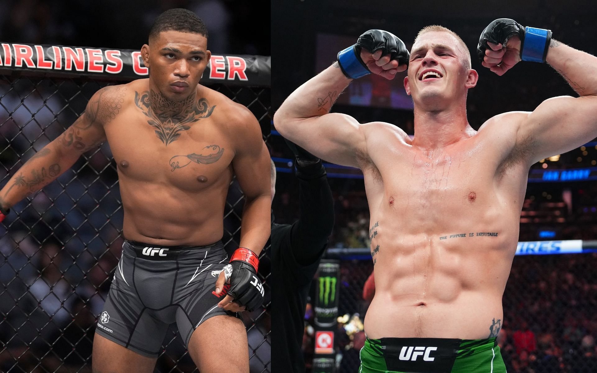 SK Mixed Martial Arts cover image