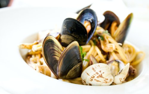 Considering Including Mussel in Your Diet? Here Are All the Benefits of It That You Should Know About