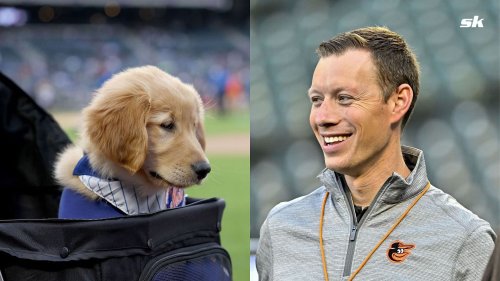 "Dogs and baseball are a great combination" - Orioles fans swoon as play-by-play man Kevin Brown is joined in booth by adorable puppy