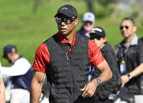 “This is simply unbelievably bad”: Tiger Woods’ ex-coach furious as Elon Musk exposes 60M discrepancy social security scam