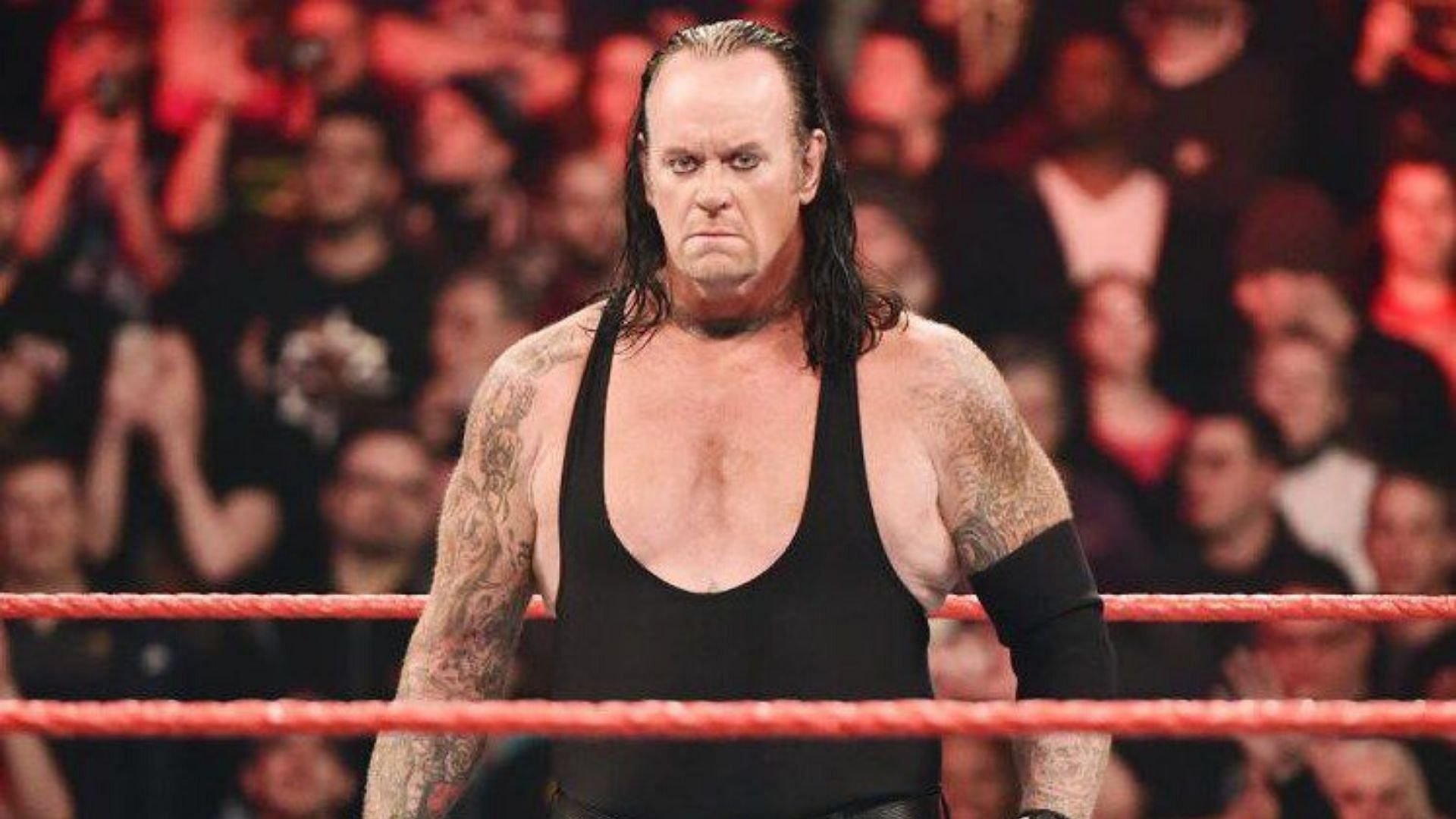 I love working with this guy" - The Undertaker gets credit for a major WWE  Superstar's rise - Flipboard