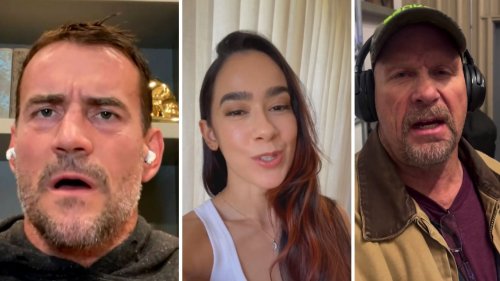 CM Punk, AJ Lee, Steve Austin, and others react as 34-year-old WWE star's post with Sasha Banks and top actor breaks the internet