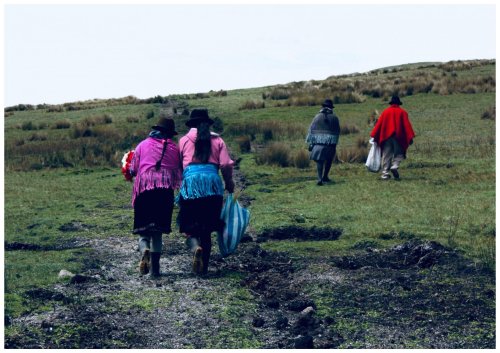 Study reveals indigenous Tismane diet as key to longevity