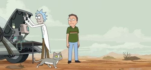Why can the cat talk in Rick and Morty? Explained